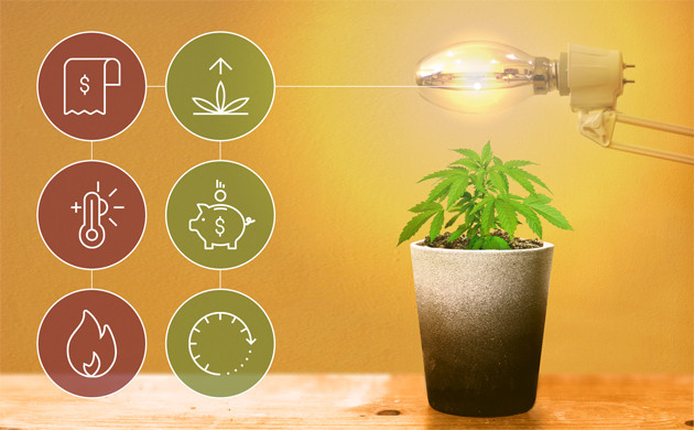 Особенности ДНаТ ламп Плюсы и минусы ламп ДНаТ