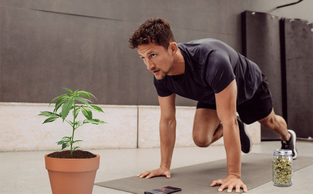 Использование конопли в спортзале