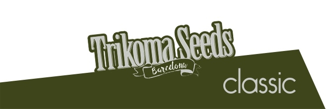 Классика от Trikoma Seeds Классика от Trikoma Seeds