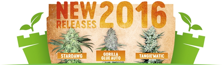 FastBuds пополнение FastBuds пополнение