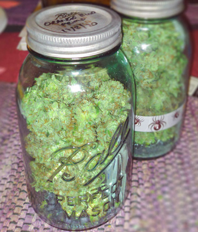 Харвест конопли Сбор урожая