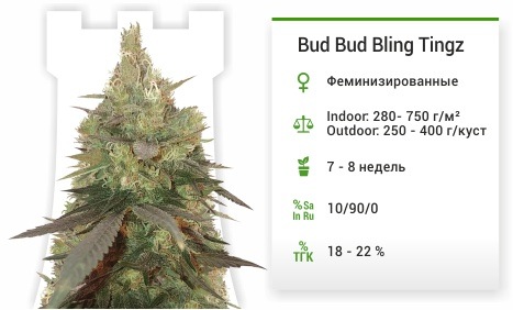описание сорта Bud Bud Bling Tingz Bud Bud Bling Tingz
