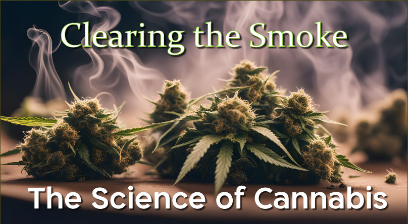 Развеивая дым: наука о марихуане