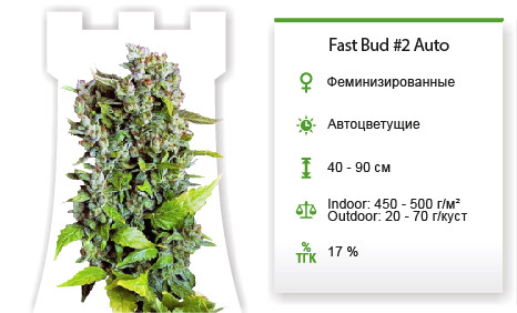Fast Bud #2 Auto от Sweet Seeds
