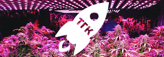 Влияние ультрафиолета на ТГК Как ультрафиолет влияет на уровень ТГК в марихуане