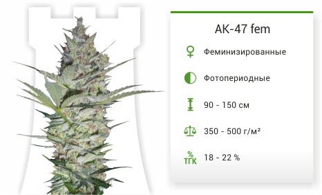 Сорт марихуаны AK-47 AK-47 fem от Serious seeds