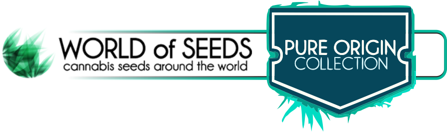 Pure Origin Collection от World of Seeds