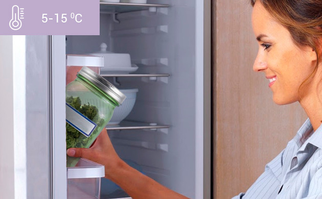 Пролечка шишек конопли в холодильнике В холодильнике пролечка идет при 15 градусах