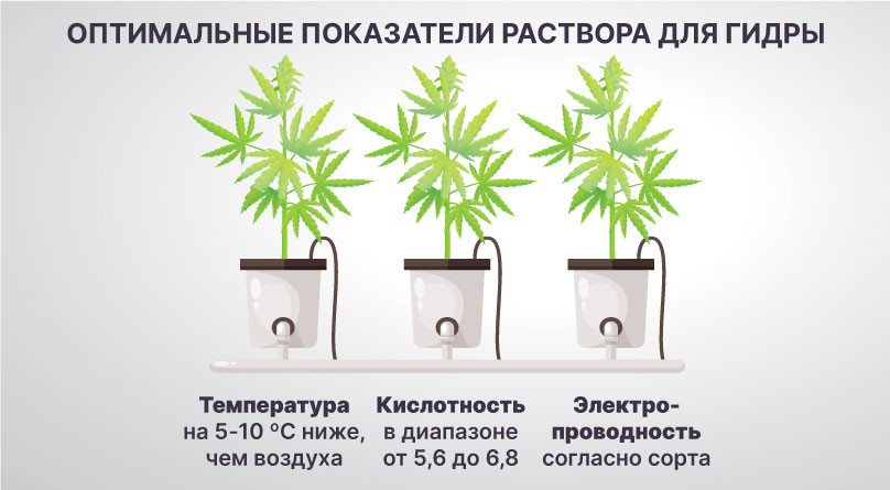 Состав раствора для гидропоники Показатели раствора для гиропоники