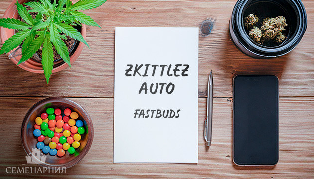 Гроурепорт сорта конопли Zkittlez Auto от FastBuds Выращивание сорта марихуаны Zkittlez Auto от FastBuds
