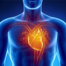 Чашечки для наполнителя Чашечка для бонга