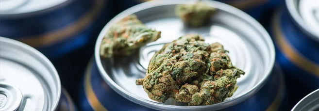 Конопляное пиво