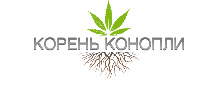 КОРЕНЬ КОНОПЛИ