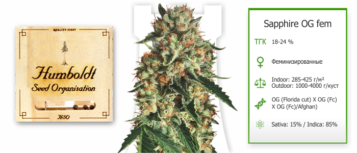 Sapphire OG Sapphire OG