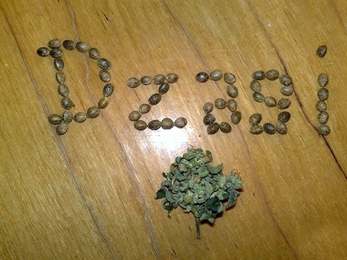 Форум Дзаги