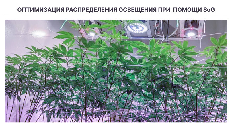 Использование техники SOG Техника повышения урожайности SOG