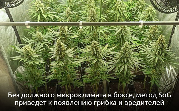 Минусы техники SOG