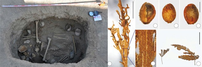 Заглянем в прошлое