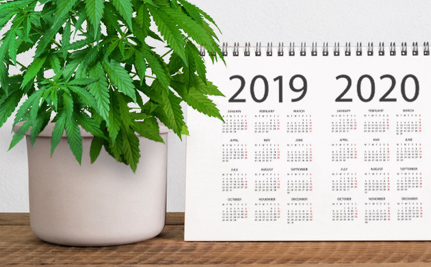 Новости по легализации за последние 2 года Легализация в 2019 и 2020 году