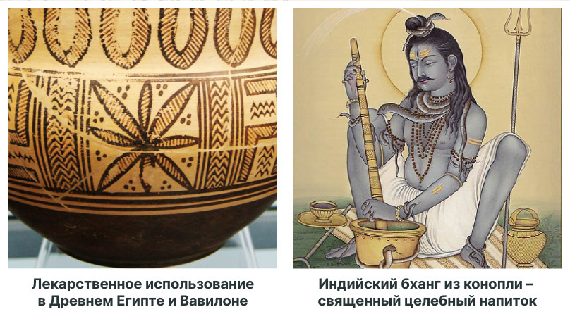 Каннабис в древности: лечение и придание сил Священный напиток бханг: история и медицинское применение