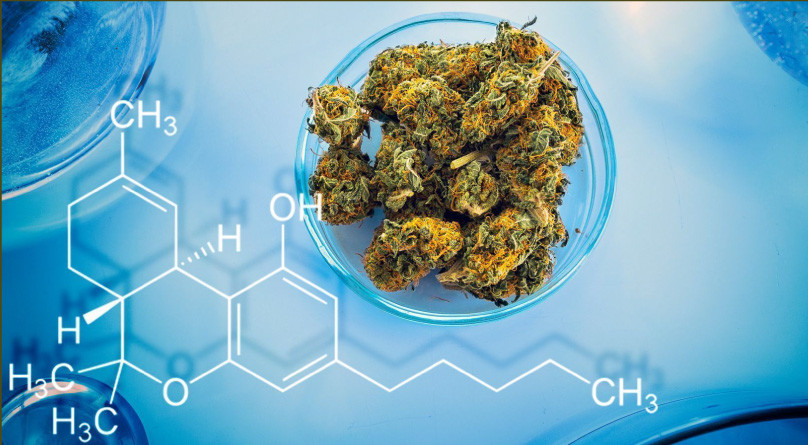 Марихуана в законе