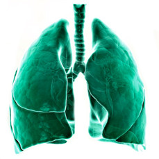 Чашечки для наполнителя Чашечка для бонга