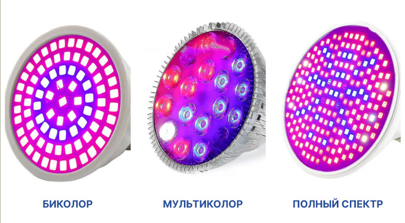 Виды светодиодных ламп и их особенности 3 вида LED ламп