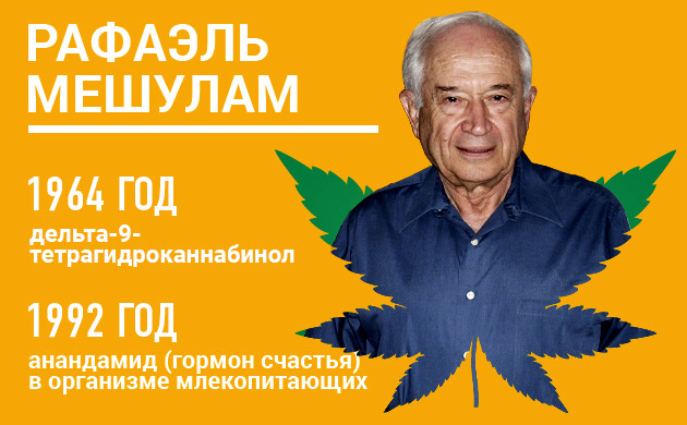 Рафаэль Мешулам