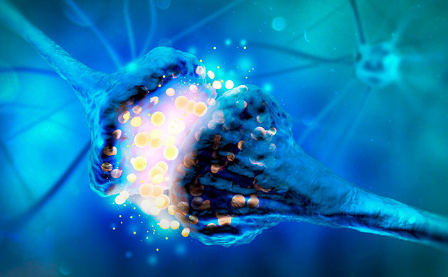 Влияние конопли на память