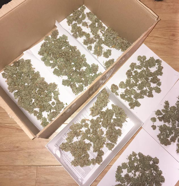 Сбор урожая Харвест