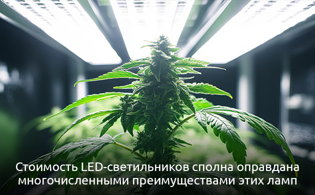 LED светильник