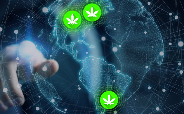 Мировая легализация конопли Легализация конопли в мире