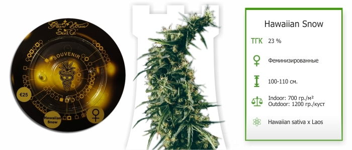 Hawaiian Snow Hawaiian Snow