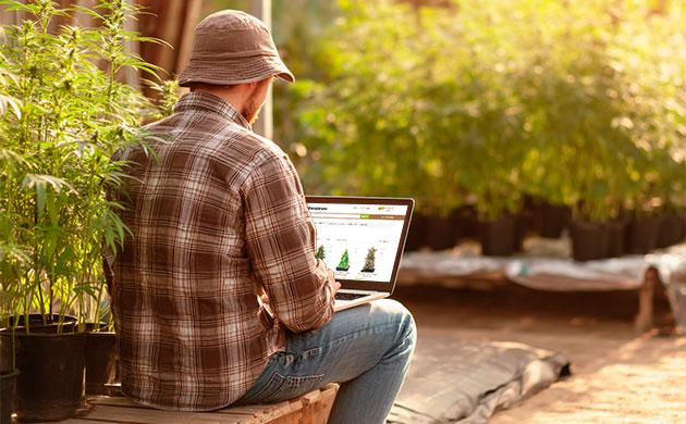 Магазин семян Шишкин