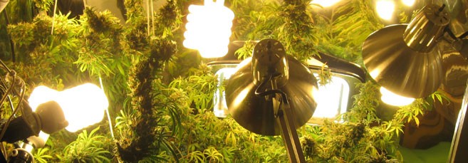 Светильники ЭСЛ