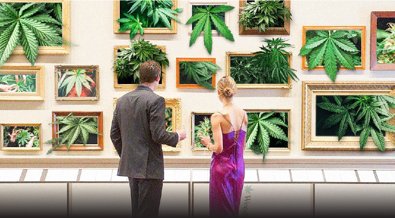 Три вида конопли Типы конопли