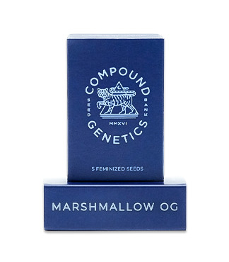 Marshmallow OG fem (Compound Genetics)