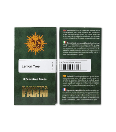 Сорт Lemon Tree (Barney's Farm)