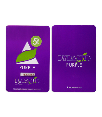 Купить сорт Purple fem (Pyramid Seeds)