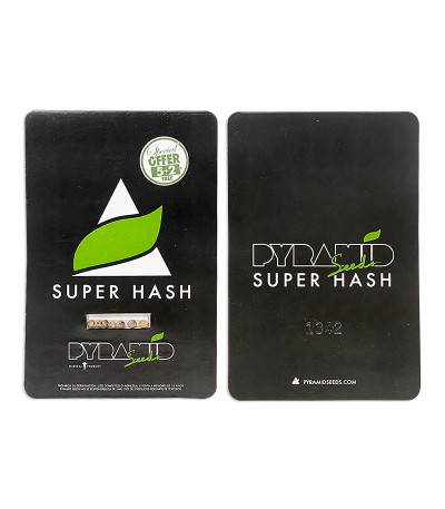 Сорт Super Hash fem (Pyramid Seeds)
