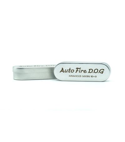 Сорт Auto Fire DOG fem (Advanced Seeds)