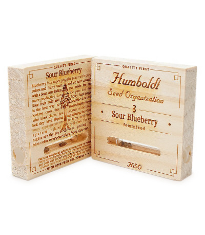 Сорт Sour Blueberry fem (Humboldt Seeds)