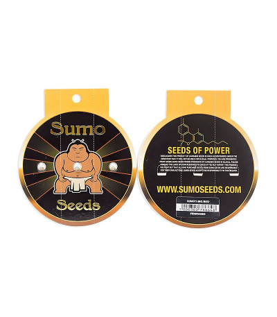 Сорт Sumo's Big Bud fem (Sumo Seeds)