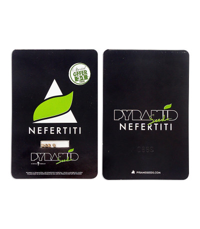 Сорт Nefertiti fem (Pyramid Seeds)