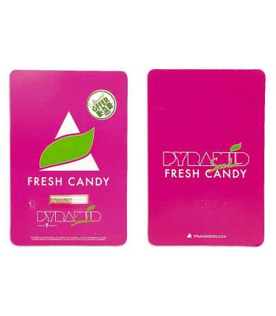 Сорт Fresh Candy fem (Pyramid Seeds)