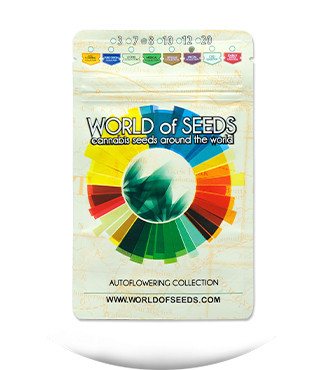 Autoflowering Collection 8 fem (World of Seeds)