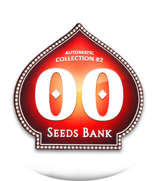 Auto Collection #2 fem (00 Seeds)